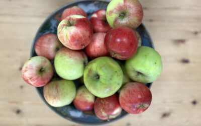 Episode 81: AAA … Apples are Autumn